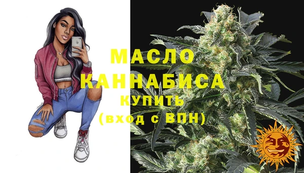 дмт Богородицк
