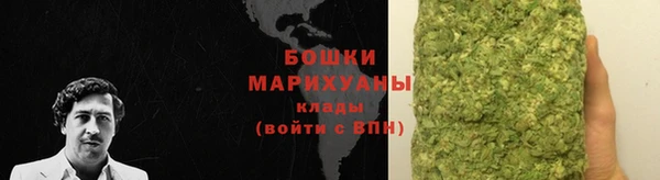 дмт Богородицк