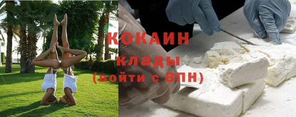 дмт Богородицк