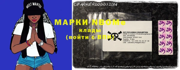 стафф Богданович