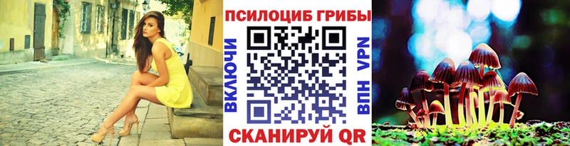 Галлюциногенные грибы Psilocybine cubensis Называевск